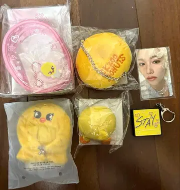 straykids 스트레이키즈 필릭스 포가리 트레이딩 카드