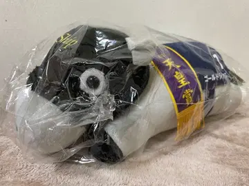 서러브레드 컬렉션 눋혀있는 BIG 봉제 인형 골드십