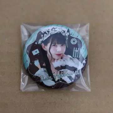 이이다 히카루 캔뱃지 상하이 한정판