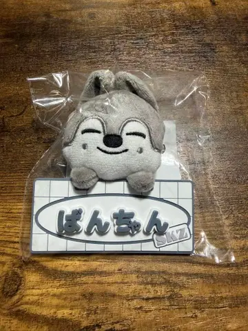 straykids 울프 찬 방찬 네임 백참