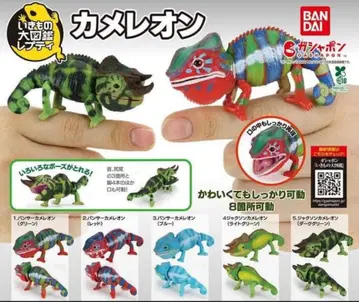 생물대도감 쁘띠 카멜레온 전 5종 세트