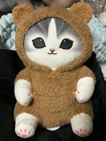 곰 후드의 고양이 봉제 인형