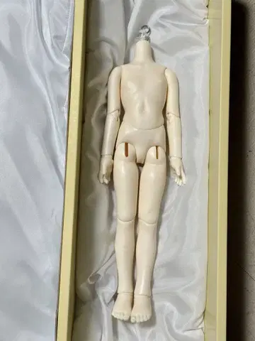 보크스 SDM 2025년 코디네이트 모델 여아 바디 PS 화이트