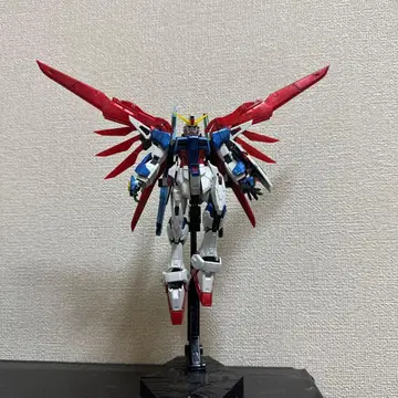 RG 1/144 디스티니 건담 티타늄 피니쉬 (받침대 포함)