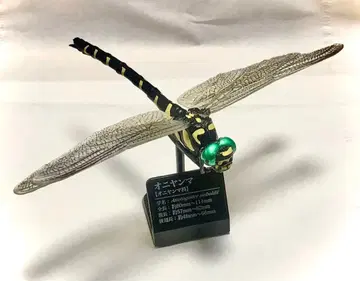 원색 도감 시리즈 일본 잠자리 오니 잠자리