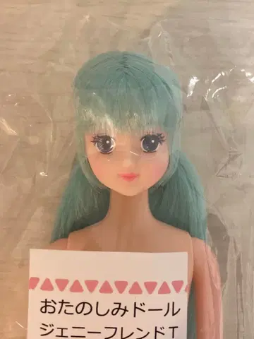 즐거운 인형 제니 프렌드 T 티모테 리카짱 캐슬