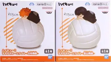 하이큐 스야스야 룸 라이트 히나타 쇼요 카게야마 토비오 2종 세트