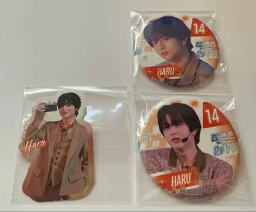 새상품 영화 초특급 the movie RE:VE 스티커 캔뱃지 하루