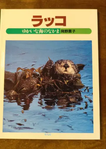 랏코 유쾌한 바다의 친구들 오카노 카오루코 사진 그림책