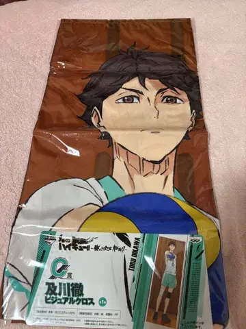 오이카와 토오루 등신대 비주얼 크로스