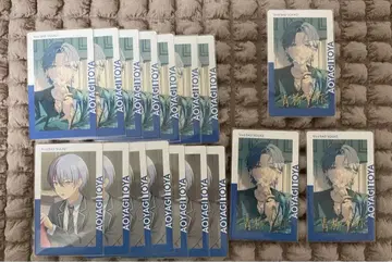 프로세카 아오야기 토야 에피카 24C