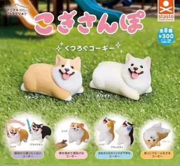 코기 산책 가챠 전 8종 컴프 세트