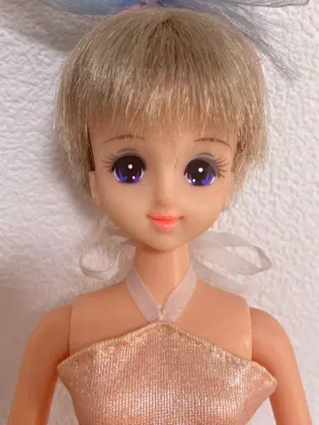 초대 페어리필드 제니 엑셀리나 당시물 타카라