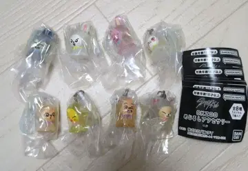 8종 컴플리트 SKZOO 메지루시 액세서리 컴플리트