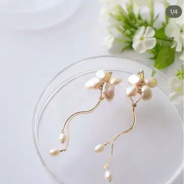 paru amour 파루아무르 자유로운 나비 #292 귀찌 담수 진주