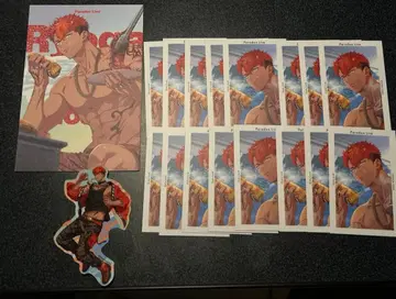 파라라이 토사 료가