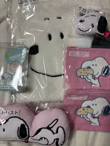 스누피 당첨 복권