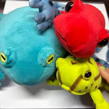 개구리 봉제 인형 세트
