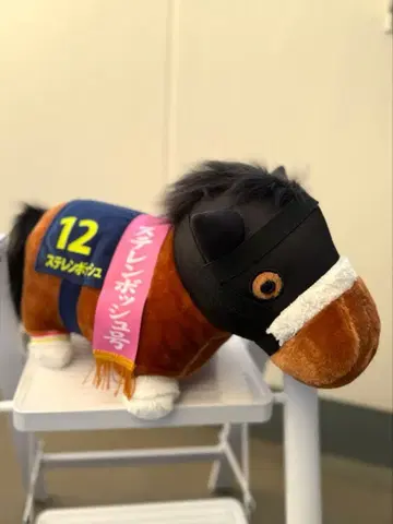 서러브레드 컬렉션 복슬복슬 BIG 봉제 인형 (스테렌보쉬)