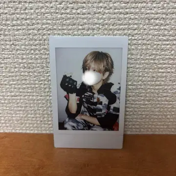 러브시크 사쿠라 폴라로이드