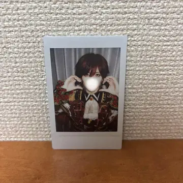 러브시크 사쿠라 폴라로이드