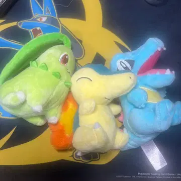 포켓몬 fit 3종 세트