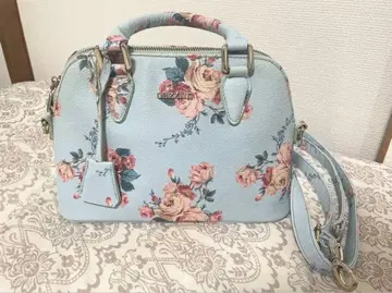 dazzlin 로즈 패턴 스카이블루 백 2way