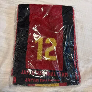 일본 대표팀 타카하시 란