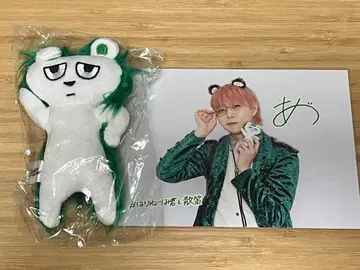 [ 새상품 미개봉 ] 팬더 드래곤 파라곤 아즈 프렌ZOO 봉제 인형