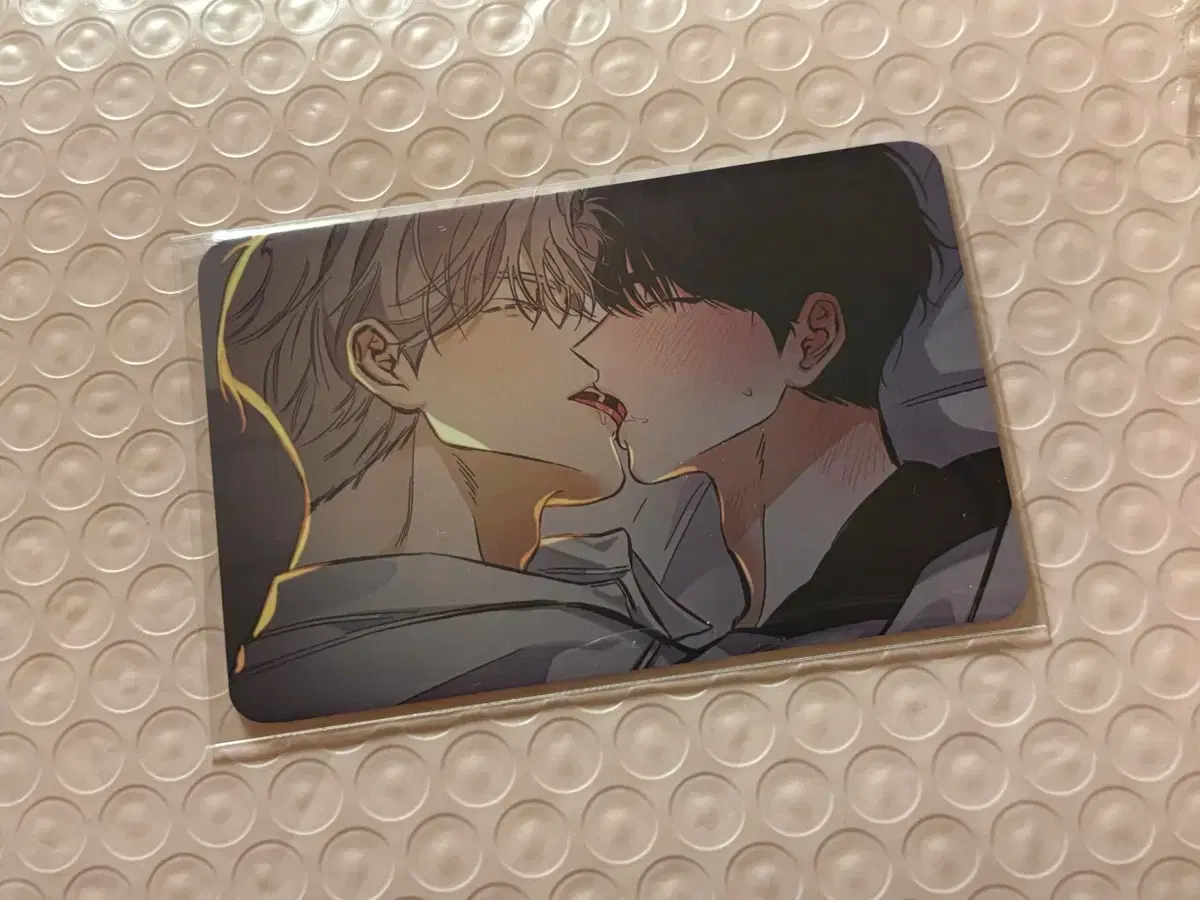 Bomtoon Home Party 100,000 Won Pre-order Benefit 10 Poca Stage Behind Photocard