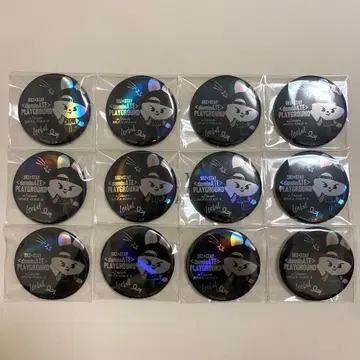 12점 StrayKids 스키즈 Leebit 리빗 캔뱃지 에코파