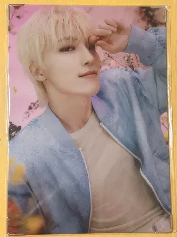 디노 always yours 프리미엄 사진