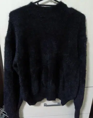 에이미 이스트 월