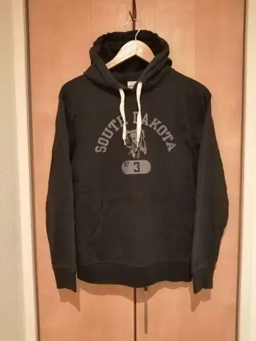 Champion 사우스 다코타 프린트 후드티 M