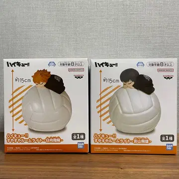 하이큐 스야스야 룸 라이트 히나타 쇼요 카게야마 토비오 2세트