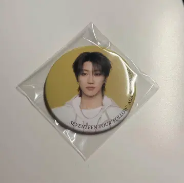 SEVENTEEN 세부치 follow again 캔뱃지 민하오 The8