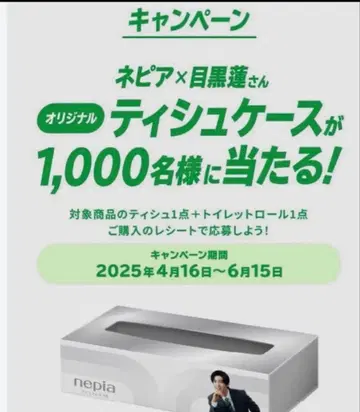 넵시아 메구로 렌 티슈 케이스