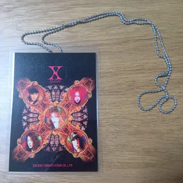 X JAPAN FILM GIGS 1993 게스트 패스