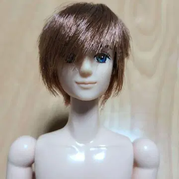 리카짱 캐슬 제니 보이프렌드 타쿠미 커스텀 바디