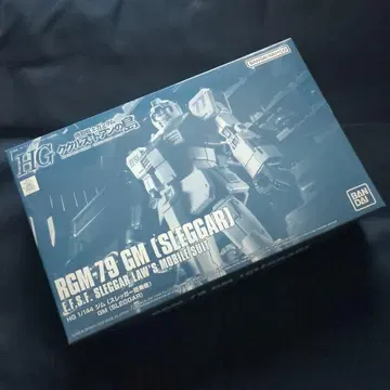 HG 짐 (슬레거 탑승기)