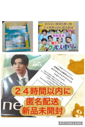 메구로 렌 네피아 클리어 파일 후지야 스나이달 파우치 하루카제 엽서 세트