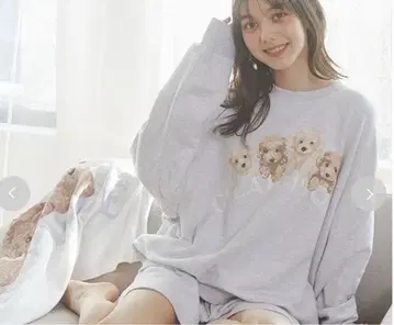 젤라또피케 토이 푸들 쭈리 풀오버