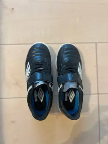 Umbro Receptor 트레이닝 슈즈 블랙