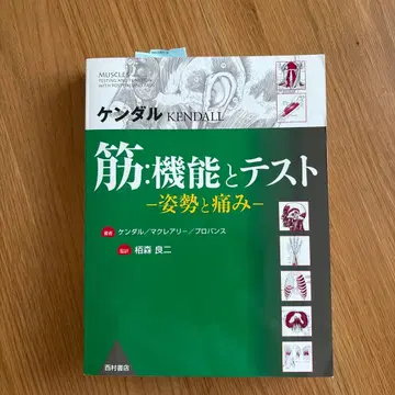 근육 기능과 테스트 -자세와 통증-