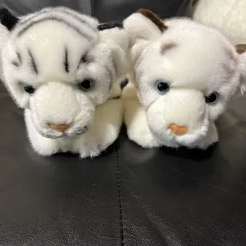 화이트 타이거 트윈즈