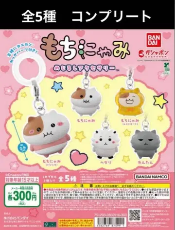 모치냐미 메지루시 액세서리 전 5종 컴플리트 세트 키링