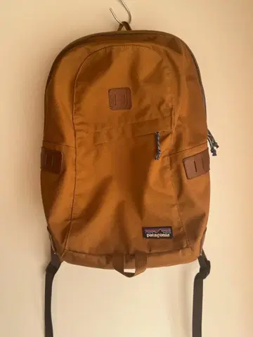 Patagonia 파타고니아 백팩 20L 데이팩 레어