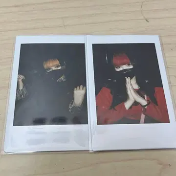 AVAM 오하라 오토하 폴라로이드