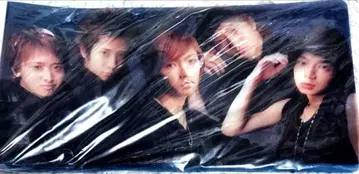 레어 미사용 아라시 티켓 홀더