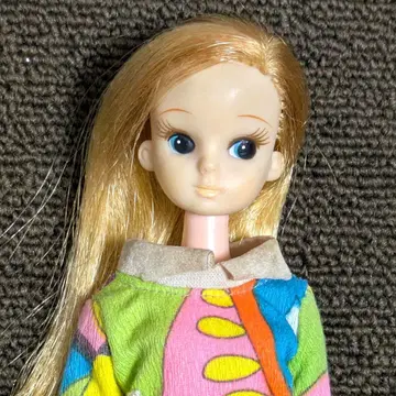 레이디 리카 인형, 의류명 산장